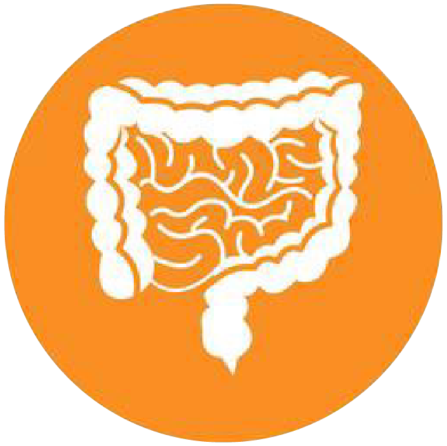 關(guān)注職場“腸”態(tài)，守護(hù)員工健康——上海格瑞特特邀消化內(nèi)科專家公益系列講座（4）(圖4)